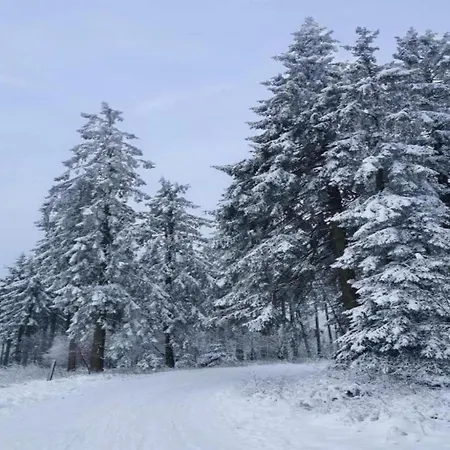 In In Der Naehe Des Skigebietes, Cleaning Included Stormbruch