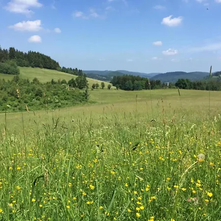 アパート In In Der Naehe Des Skigebietes, Cleaning Included